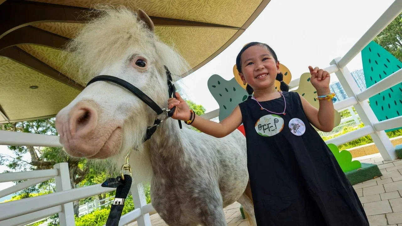 香港赛马会PonyWorld事实进展时间线：从奥运训练场到公众互动新地标